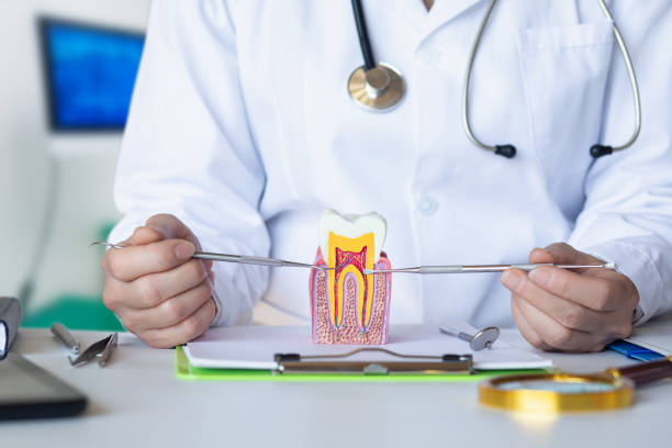 Best Urgent Tooth Repair  in Bagdad, AZ